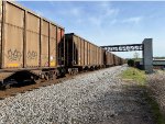SCWX 06052